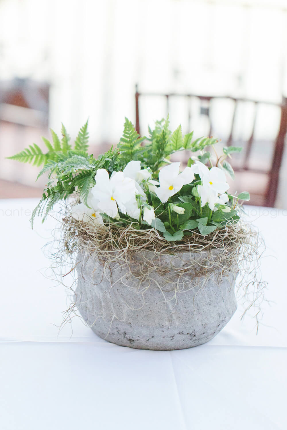 potted white flower centerpieces