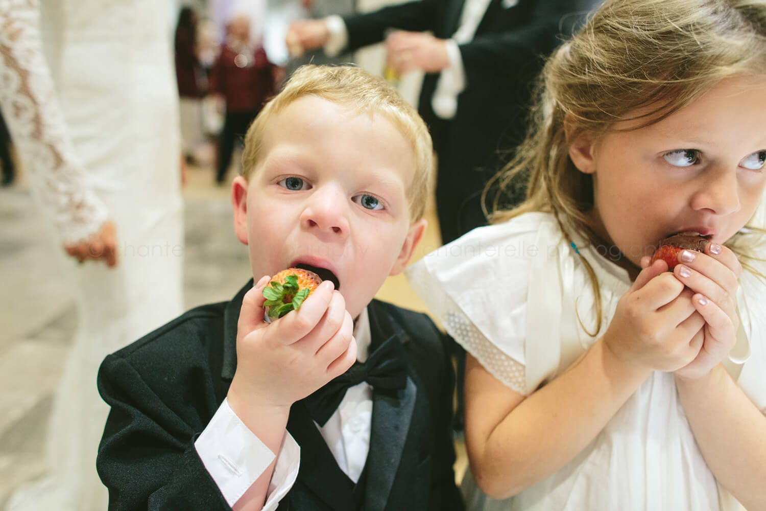 ring bearer and flower girl eating chocolate covered strawberries