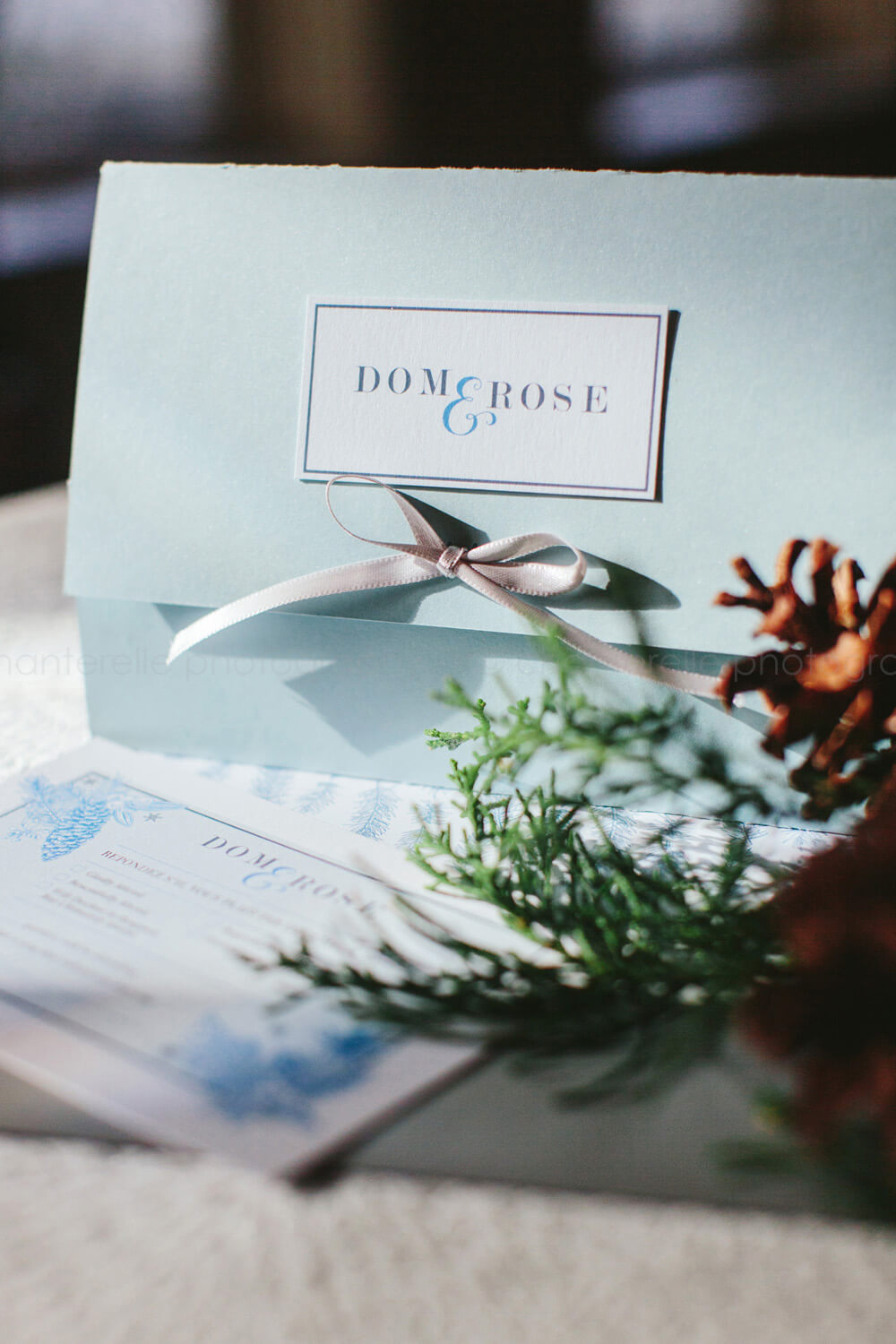 pale blue wedding invitation with pinecones