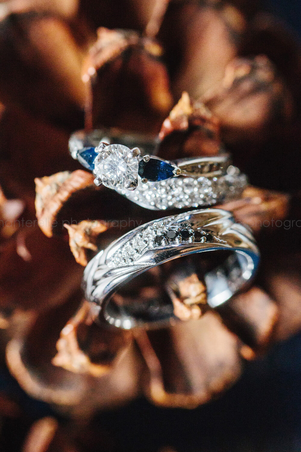 closeup of wedding rings in pinecone