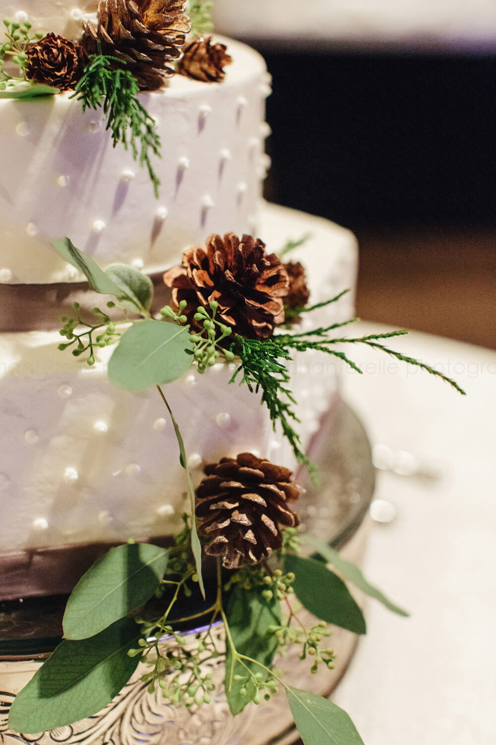 winter wedding cake with pinecones
