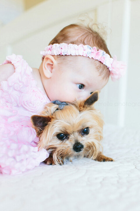 baby girl in pink dress kissing yorkie